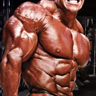 ADVANCED I - MASS BUILDER