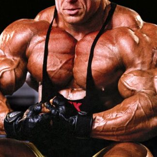 ADVANCED II - BULKING/MASS CYCLE