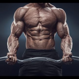 BEGINNER VI - ORAL ONLY